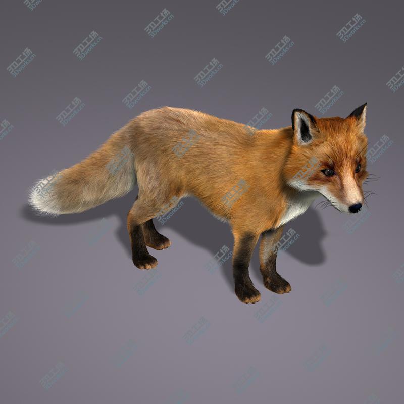 images/goods_img/2021040234/Fox (RIGGED) (FUR)/4.jpg